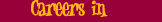 career name